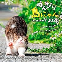 購入者限定特典付き】のんびり島にゃんCALENDAR 2026（月めくり/壁掛け